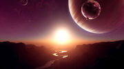 Colony