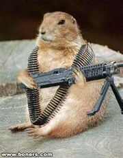 Chipmunk assault