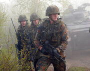 Royal Soldiers