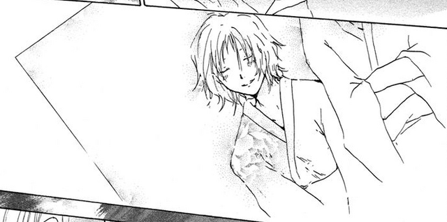 File:Tsubame picture.png