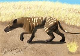 Hyaenodon