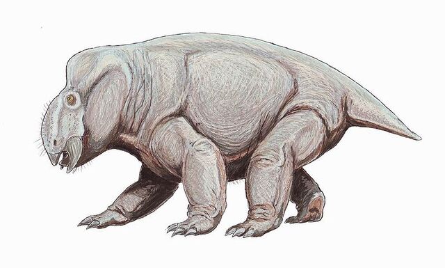 File:Placerias.jpg