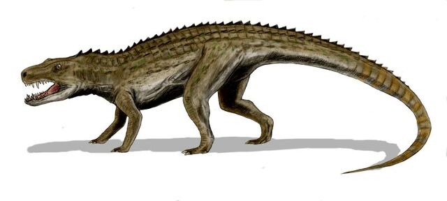 File:Postosuchus.jpg