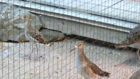 Vlcsnap-2014-02-21-17h19m07s211