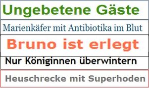 Rundschau.jpg