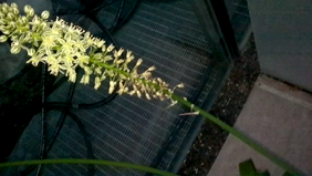 Vlcsnap-2014-01-09-22h38m42s241.png
