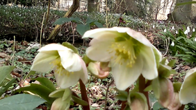 Vlcsnap-2014-03-03-15h51m04s189