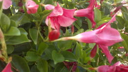 260720131410.jpg