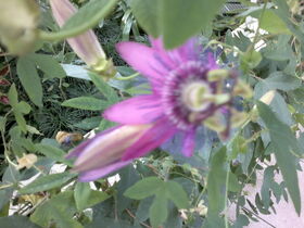 261020132089.jpg