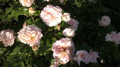 220620131219.jpg
