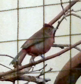 Vlcsnap-2013-11-09-13h28m49s245