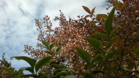 04062013768.jpg