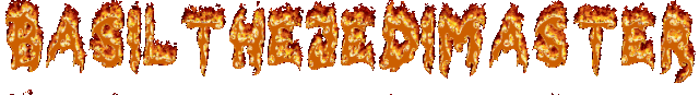 File:Basilthejedimaster2.gif