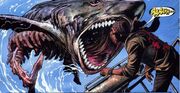 Zombie shark