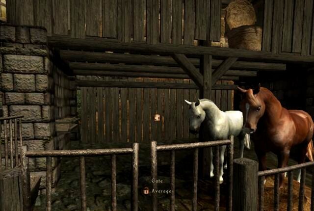 File:Horses.jpg