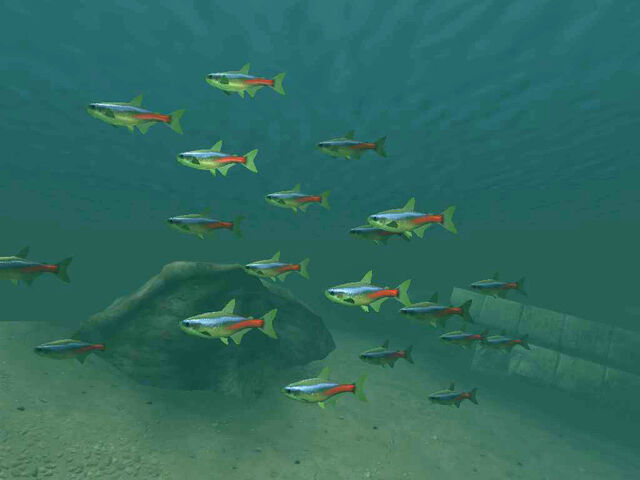 File:Nehrim Fish01.jpg