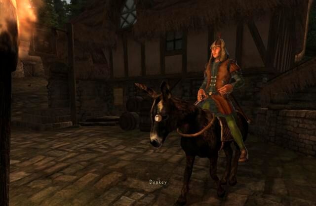 File:Donkey.jpg