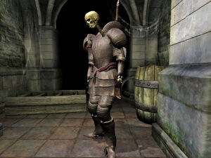 Higher Skeleton01
