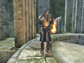 Battlemage of Etronar01
