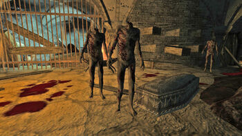 Headless Zombies