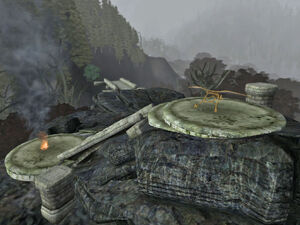 Beacon Site01
