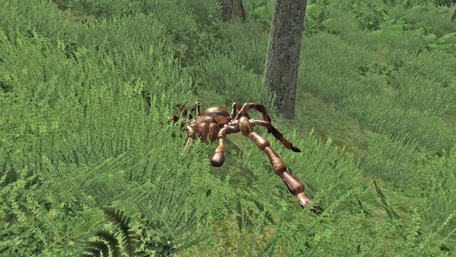 File:Moss Crawler.jpg