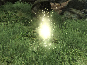 Will O Wisp01