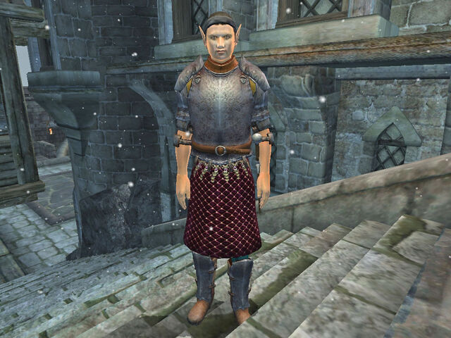 File:Guard Marius.jpg