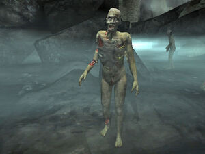 Rotting Zombie