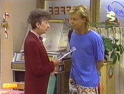 Naybers jan 1988