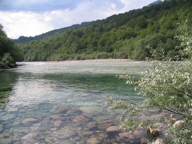 File:4138997.jpg