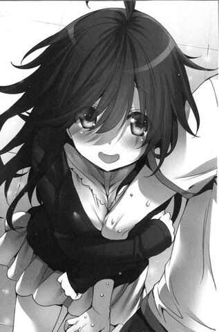 File:Light Novel v1 02.jpg