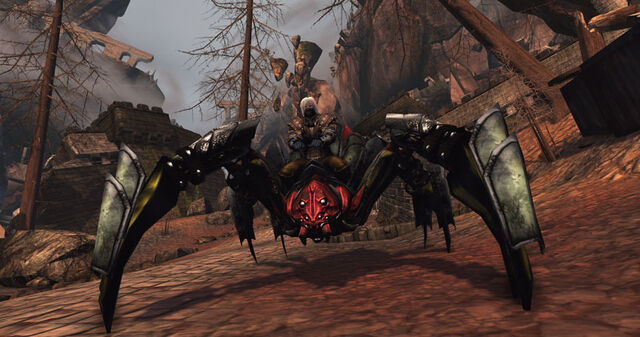 File:Founderspider.jpg
