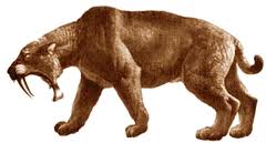 File:Загруженное (18).jpg
