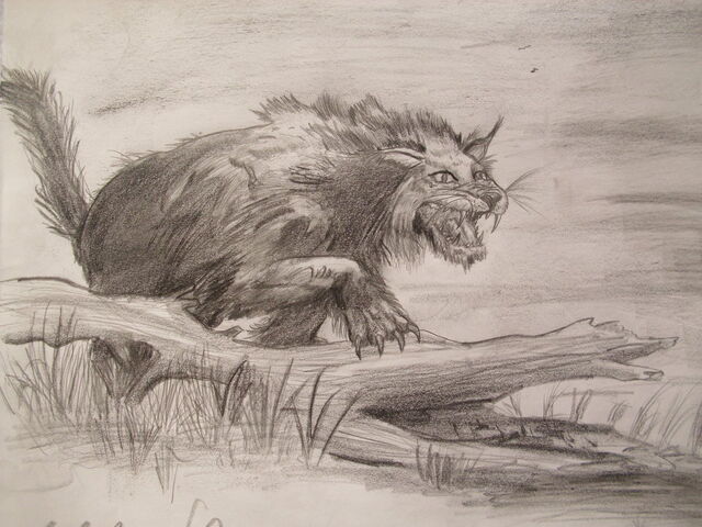 File:Vampire beast by teratophoneus-d3cadxw.jpg