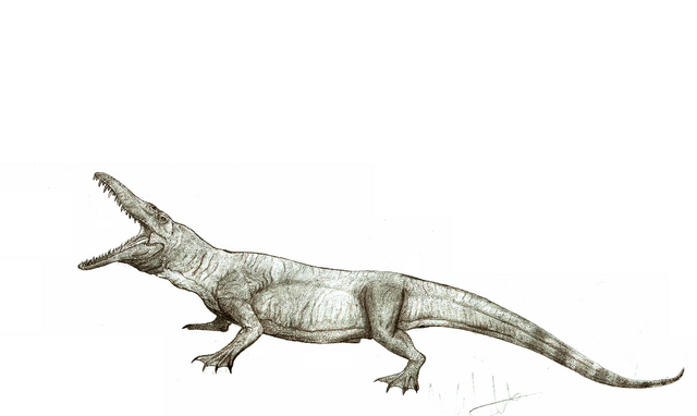 File:Bear lake monster 2.png