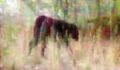 Thumbnail for version as of 14:13, December 31, 2013