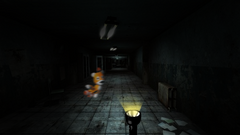 ELC.png