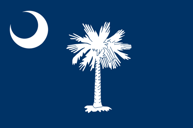 파일:750px-Flag of South Carolina svg.png