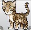 LeopardBeige