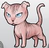 LevkoyPink