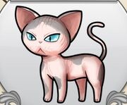 Grey and pink