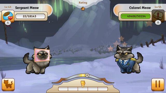 File:ColonelMeowSnowridgeValley.jpg