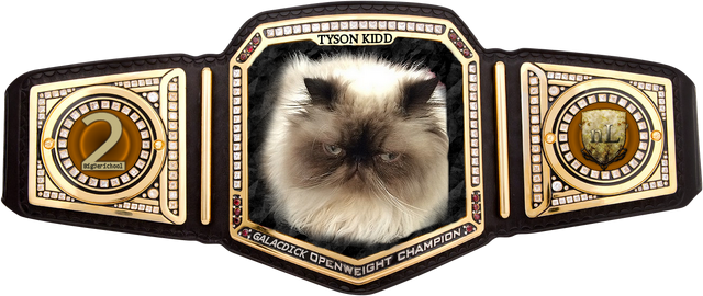 File:TysonBelt3.png
