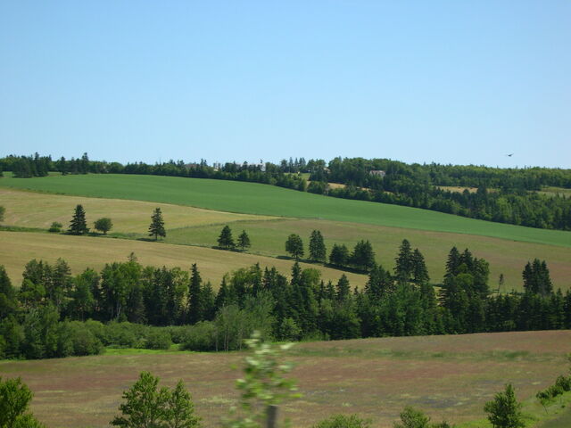File:Ralston Countryside.jpg