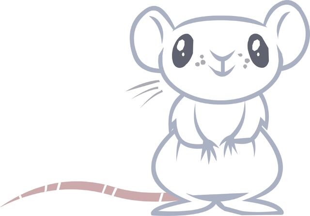 File:Mouse.jpg
