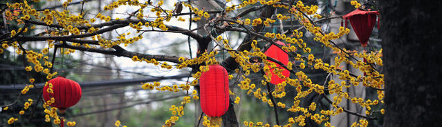File:Lanterns.jpg