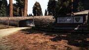 Bigtimberpass3