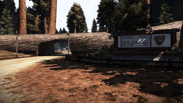 Archivo:Bigtimberpass3.jpg