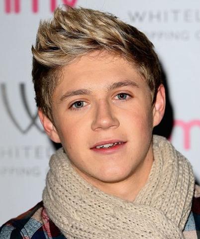 File:402px-Niall Horan.jpg